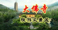 又粗又长的黄色骚逼操逼视频网站。中国浙江-新昌大佛寺旅游风景区